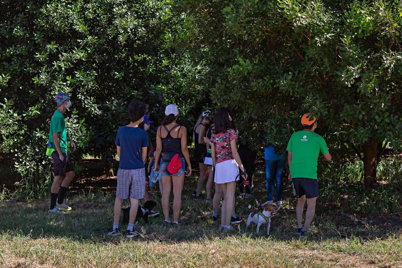 Santa Eliza Eco Resort Ribeirão Bonito المظهر الخارجي الصورة